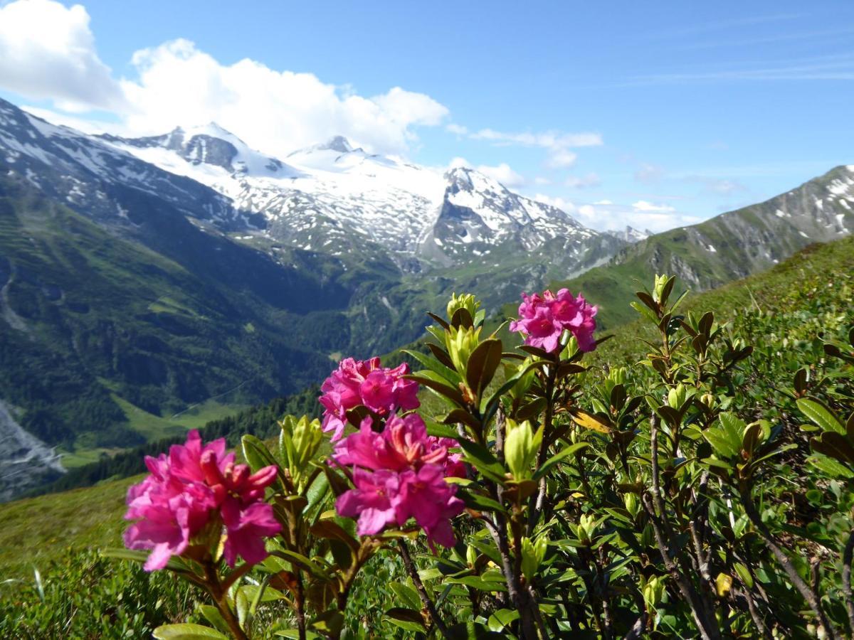 Alpenrose Tux Exterior foto